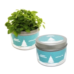 Puszka Zieleni — zestaw do uprawy / Grow kit w puszce